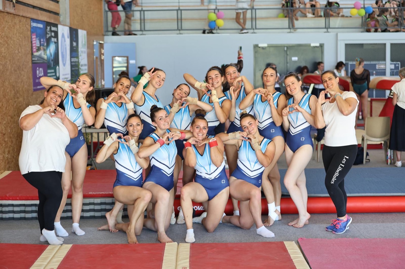 Les Libellules en OR !