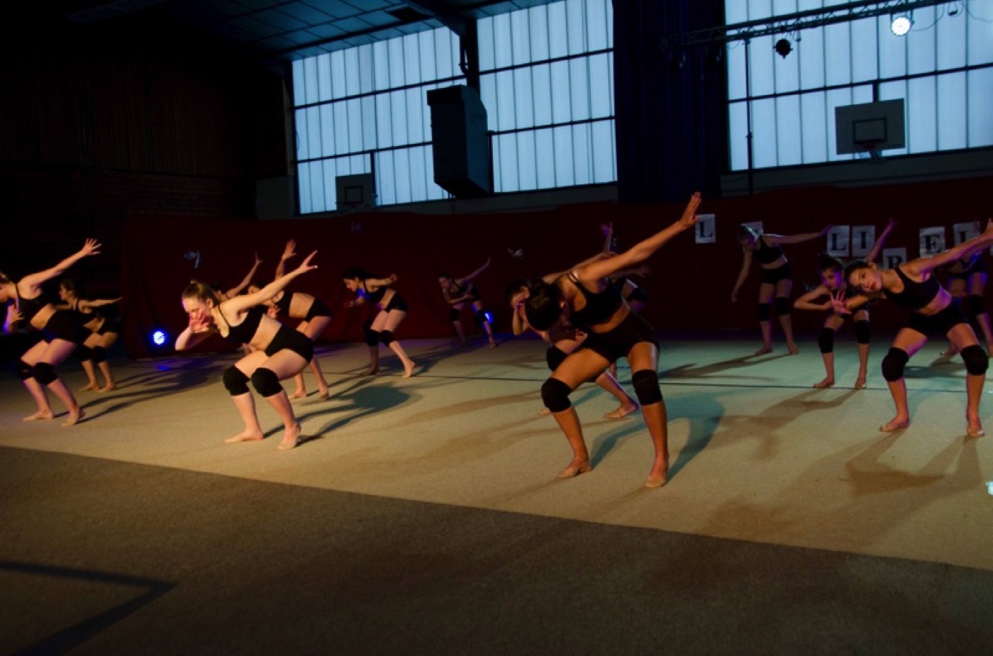Succès du Gala 2019 Sections Loisirs des Libellules