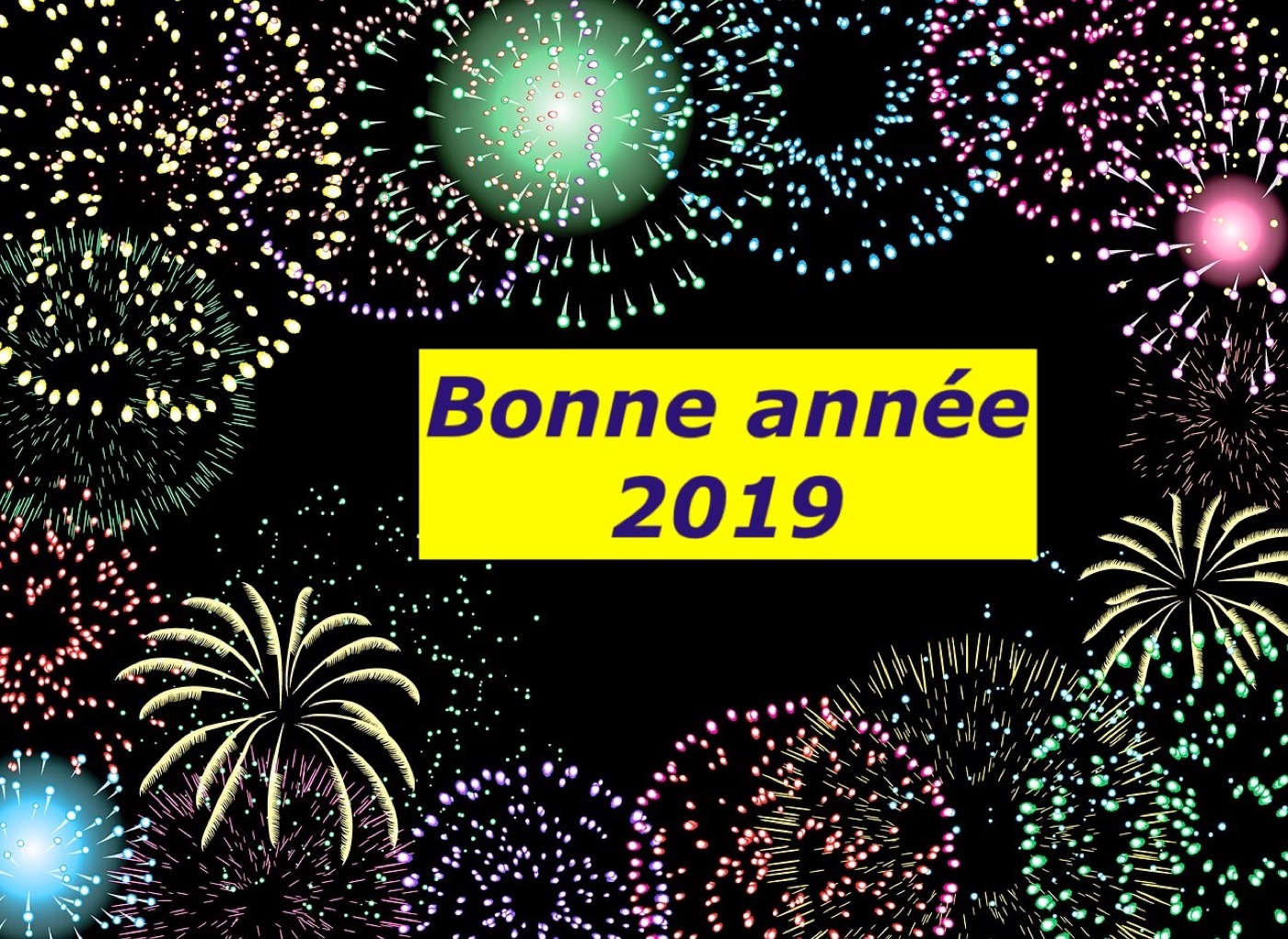 Bonne Année 2019