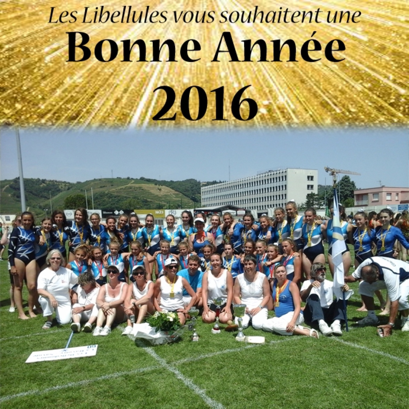 Voeux 2016